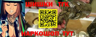 jwh Кингисепп