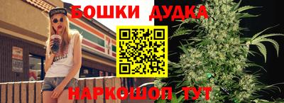 jwh Кингисепп