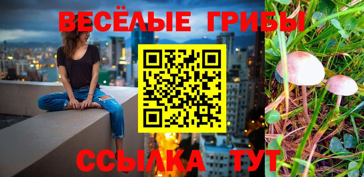 Галлюциногенные грибы прущие грибы Лабытнанги