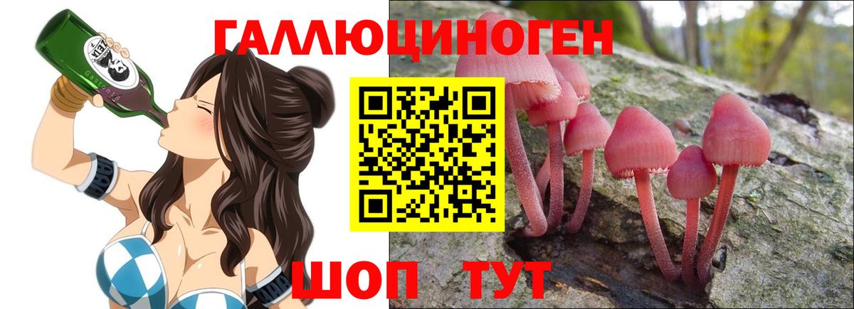 Лабытнанги  Галлюциногенные грибы Cubensis  Вход с VPN 
